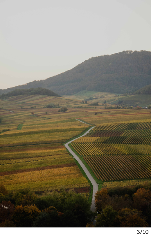 tutto_Landing_Header_mobile3